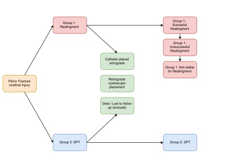 Analysis groups for pfui study