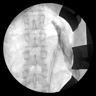 Post102416 fig2